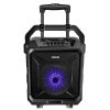 Portable Wireless Party Speaker with Disco Lighting