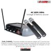 5 Core Wireless Microphone System with case; VHF Dual 2 Handheld Mics Professional WM 5CPGVX