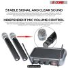 5 Core Wireless Microphone System with case; VHF Dual 2 Handheld Mics Professional WM 5CPGVX