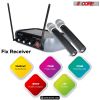 5 Core Wireless Microphone System with case; VHF Dual 2 Handheld Mics Professional WM 5CPGVX