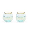 Aqua Bubble Stemless Wine Glass Set by Twine®